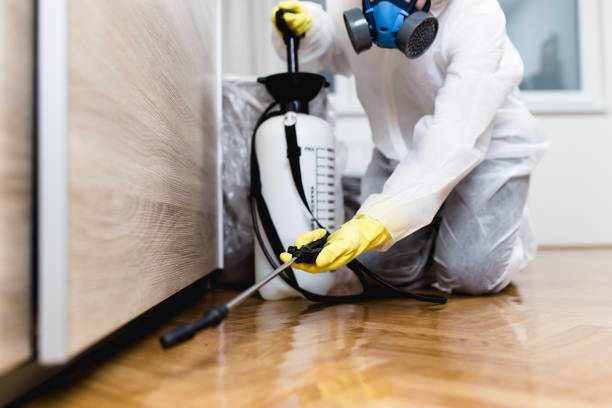 Reliable Joliet, IL Pest Control Solutions