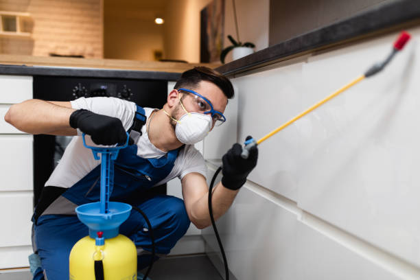 Best Exterminator Services  in Joliet, IL