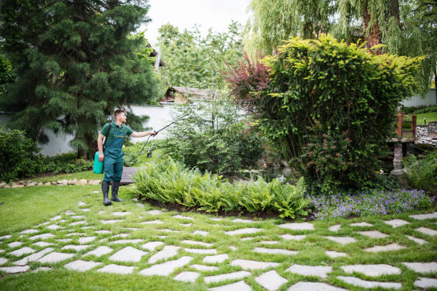 Wildlife Control Services in Joliet, IL