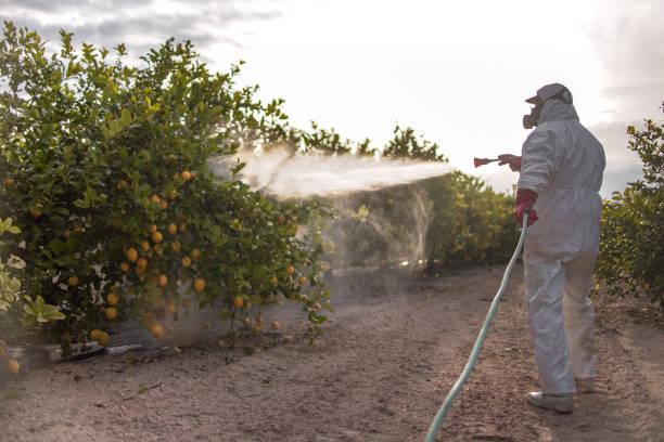 Best Best Pest Control Companies  in Joliet, IL