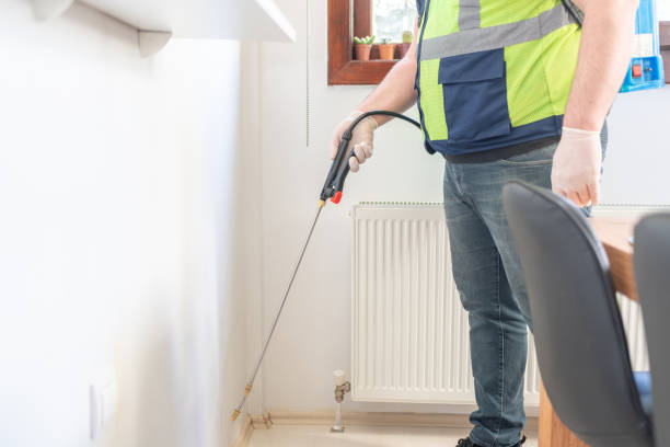 Best Wasp Removal Services  in Joliet, IL