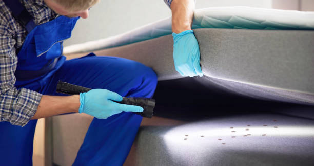 Best Pest Control Near Me  in Joliet, IL