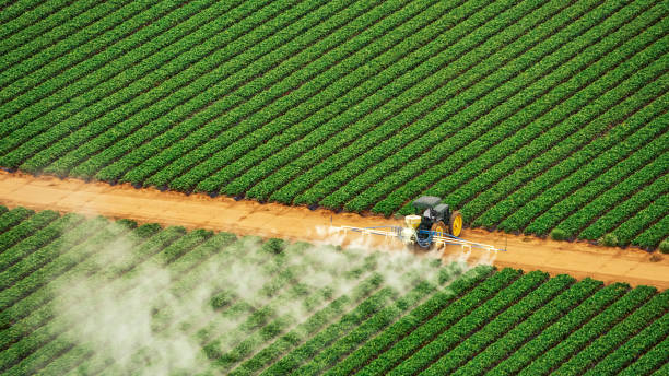 Best Ant Control Services  in Joliet, IL