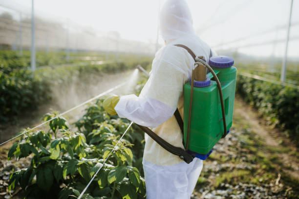 Best Bed Bug Extermination  in Joliet, IL
